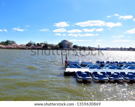 View of the Jefferson Memorial across the Tidal Basin during Cherry Blossom Season in downtown Washington DC. Pedal boats for rent are in the forefront.