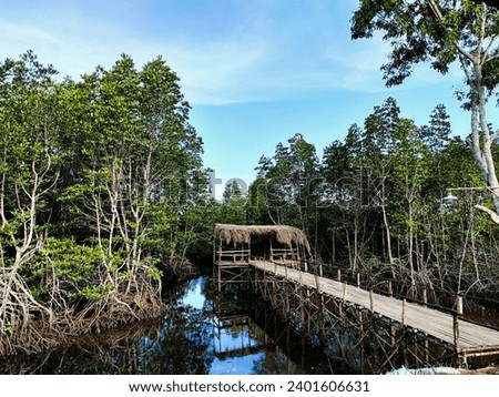 View of a jetty in the middle of a mangrove forest on the river bank where Malay people in the Tanjungpinang Bintan Riau Islands moor their canoes