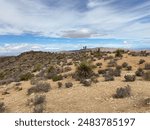 View of Joshua Tree National Park in California