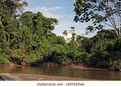 A View Of The Jungle And Coca River, Ecuador