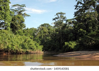 A View Of The Jungle And Coca River, Ecuador