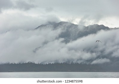 A View Of The Kachemak Bay State Park From Homer Spit, Alaska