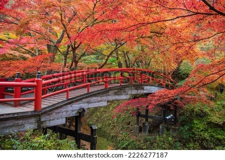 View of Kajika Bridge with autumn leaves at Ikaho Onsen, Japan