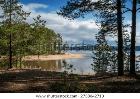 View of the Kama River from a pine forest on a sunny summer day.