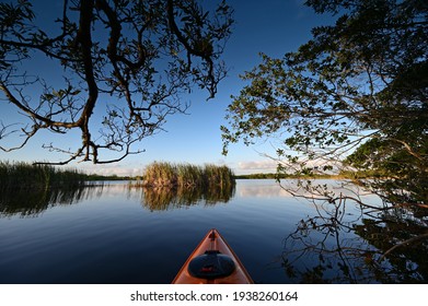 View From Kayak Amidst Mangrove Trees Of Nine Mile Pond In Everglades NP.