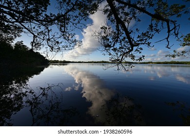 View From Kayak Amidst Mangrove Trees Of Nine Mile Pond In Everglades NP.