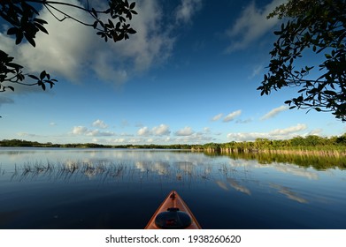 View From Kayak Amidst Mangrove Trees Of Nine Mile Pond In Everglades NP.