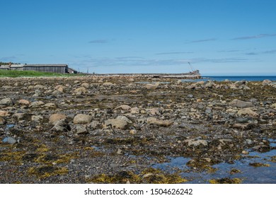 View Of The Kelp Algae Harvester Village In The White Sea