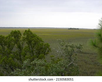 View Of Kiawah Island Marshes