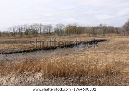 View of Kings Creek and wetlands at Hawk Rise Sanctuary in Linden, New Jersey