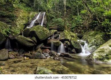 Kinabalu Park Hd Stock Images Shutterstock