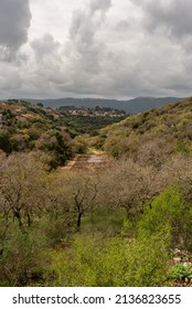 View From Kiryat Tivon Of The Hills,valley Between, Homes Near The Town Center And The Carmel Mountains In The Background On A Clouy Day In Israel.
