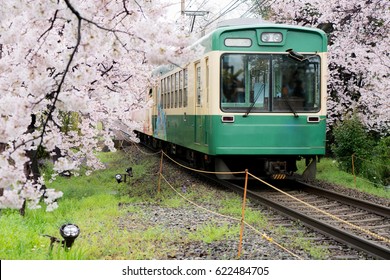 View of Kyoto local train traveling on rail tracks with flourishing cherry blossoms along the railway in Kyoto, Japan.
