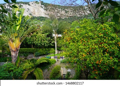 Gibraltar Botanic Gardens Images Stock Photos Vectors