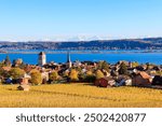 View of La Neuveville town and Lake Biel, Switzerland