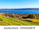 View of La Neuveville town and Lake Biel, Switzerland