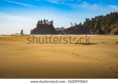 View of La Push Second Beach in Washington state, featuring a wide sandy shore, sea stacks, and forested cliffs along the Pacific Ocean.