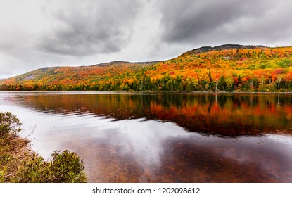 View Laclegault Sainteluciedeslaurentides Showing Fall Autumn Stock 