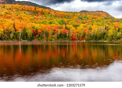 View Laclegault Sainteluciedeslaurentides Showing Fall Autumn Stock ...