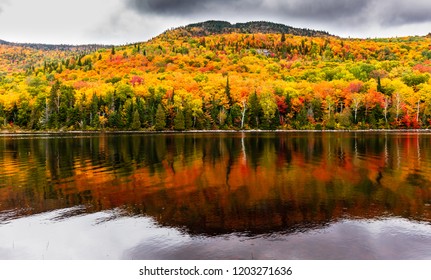 View Laclegault Sainteluciedeslaurentides Showing Fall Autumn Stock ...