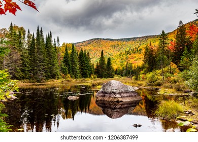 View Laclegault Sainteluciedeslaurentides Showing Fall Autumn Stock ...