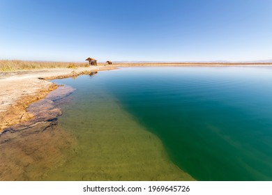 View of Laguna Lagoon Cejar in the Atacama Desert, Antofagasta, Chile