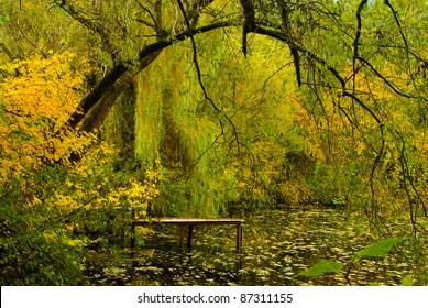 A view of lake bathed in golden light with a weeping willow tree in sharp focus in the foreground