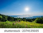 View of Lake Constance against the light