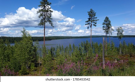 View To Lake Päijänne In Jamsä, Finland.