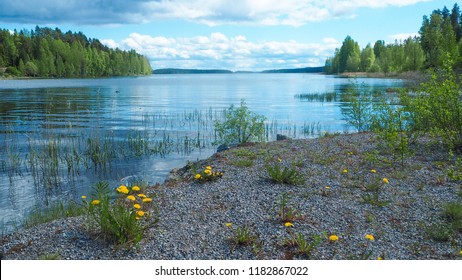 View Of Päijänne Lake In Finland In Summer