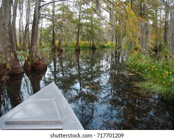 View Of Lake Martin, Louisiana.