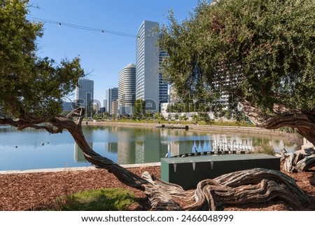 View of Lake Merritt and the adjacent high-rise buildings in Oakland California