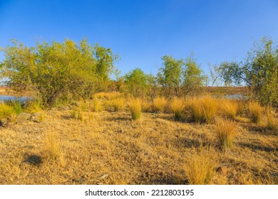 View Of The Lake Oanob, An Idyllic Holiday Resort With A Lake And A Dam Near Rehoboth In The Kalahari Desert. Namibia.