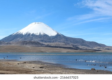 View Of Chungará Lake And Parinacota Volcano, In The Chilean Highlands.