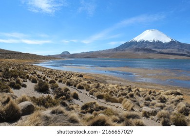 View Of Chungará Lake And Parinacota Volcano, In The Chilean Highlands.