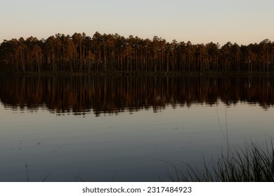 View of the lake with the reflection of the sun in the trees on the shore. The trees are reflected in the lake. Selective soft focus.