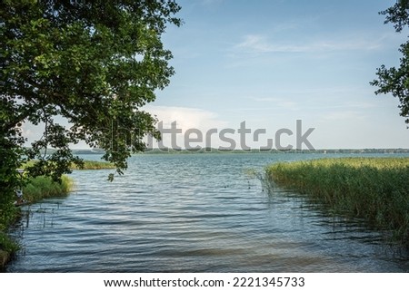 view of the lake from the shore