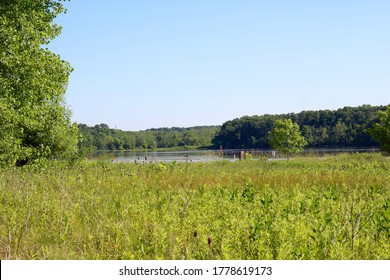 A View Of The Lake From The Tall Grass Prairie On A Bright Sunny Day.