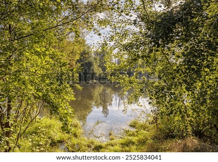 A view of a lake through some shrubs.  Trees line the opposite bank and are reflected in the still water. Grass is in the foreground and a sky with cloud is above.