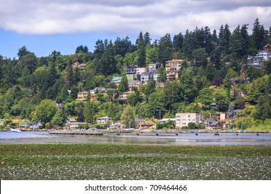 View of Lake Washington in Kirkland, Washington
