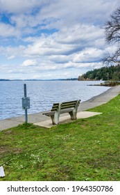 A View Of Lake Washington From Seward Park.