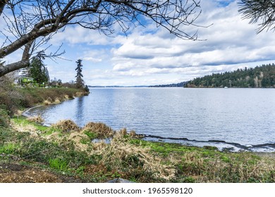 A View Of Lake Washington From Seward Park.