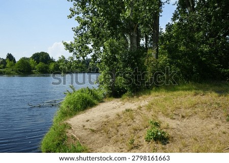 View of Lake Wuhlebecken surrounded by summer vegetation in June. Wuhlebecken, or Wuhlesee, is a lake in Marzahn-Hellersdorf, Berlin, Germany, Europe.