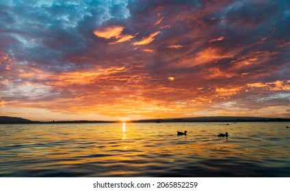 View of Lake Zugersee from the Swiss town of Zug, at dusk and calm with the sun in front and the sky with clouds tinged by the light of the setting sun. - Shutterstock ID 2065852259