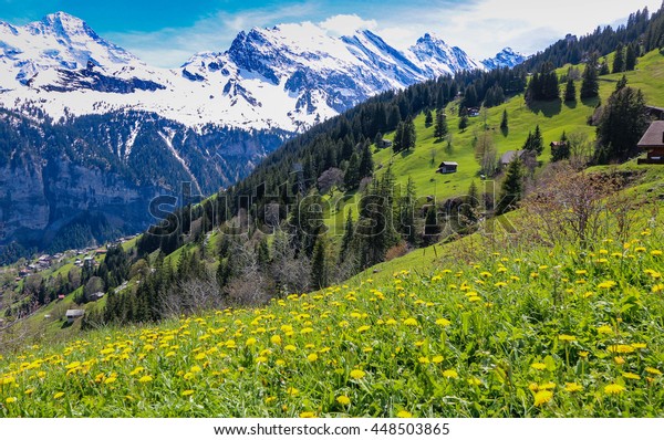 View Landscape Alps Gimmelwald Murren Villages Stock Photo Edit Now
