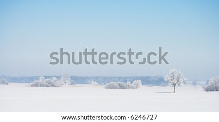 View of landscape covered with snow. Winter scene.