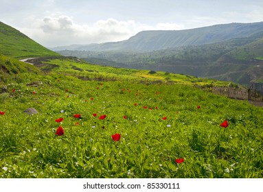 View Of Landscape Of Galilee, Israel