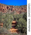 View of a landscape on the Courthouse Loop Butte Trail, in Coconino National Forest, Arizona