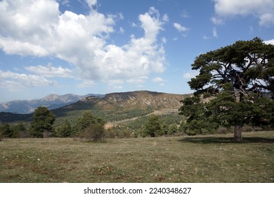 View of the landscape of Pla de Busa - Shutterstock ID 2240348627
