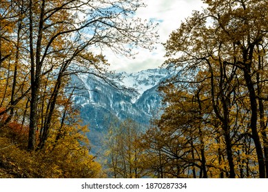 View Of Landscape Through Autumn Forest To The High Mountains In The Snow. Transition From Autumn To Winter.